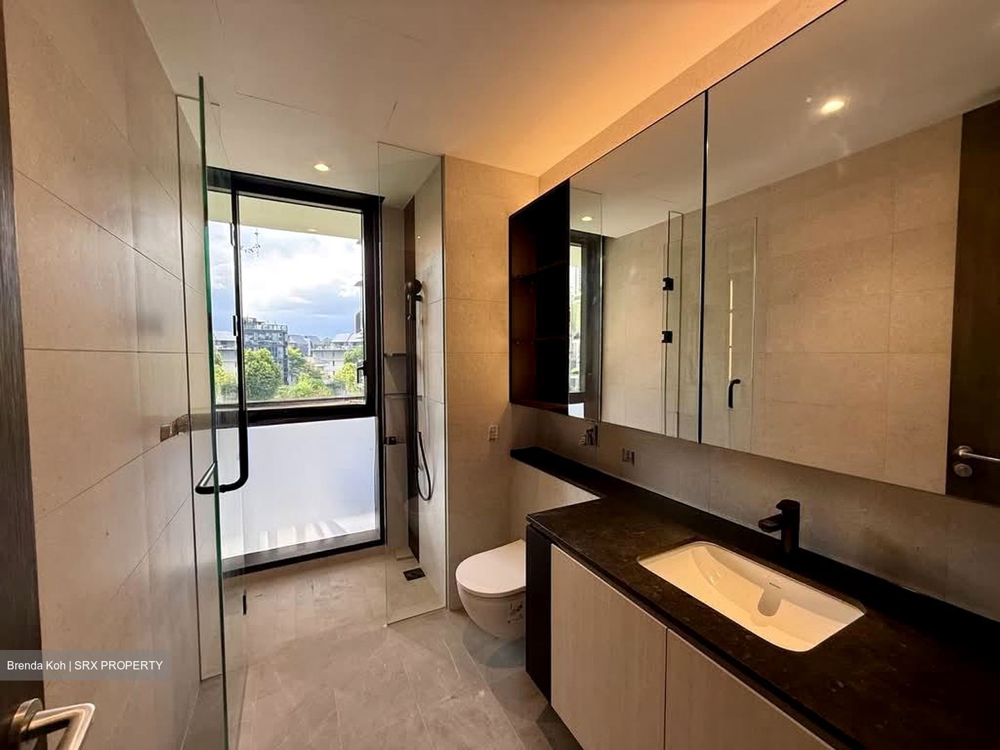 Jervois Mansion (D10), Apartment #529286651